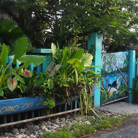 Bed and Breakfast Cocomo On The Sea Bocas del Toro Exterior foto
