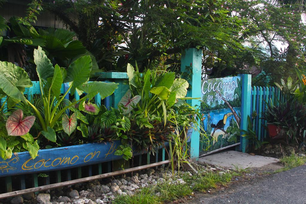 Bed and Breakfast Cocomo On The Sea Bocas del Toro Exterior foto